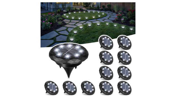 SOLPEX 12 Pack Small Solar Ground Lights