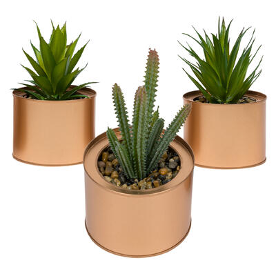 Succulent and Cactus Artificial Plant- 6"- 3 Assortments