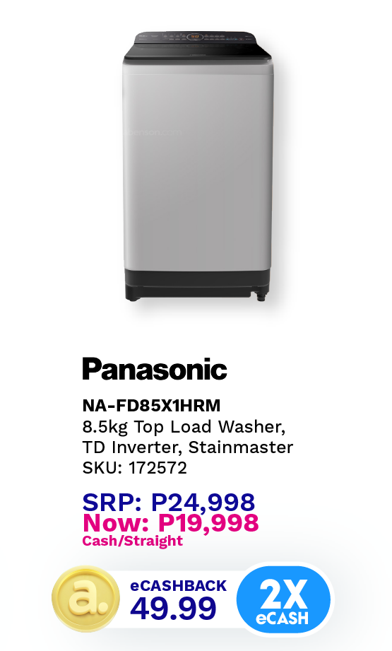 Panasonic Washer