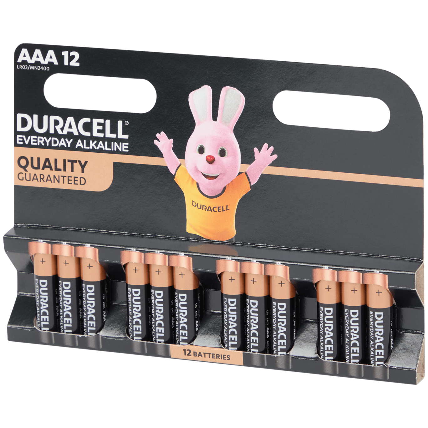 Duracell Everyday Alkaline batterijen AAA