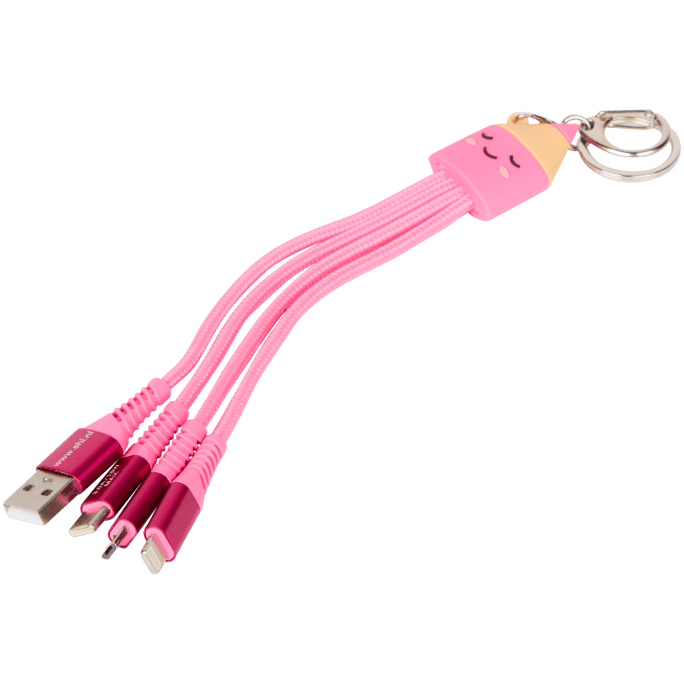 4-in-1 sleutelhanger met oplaadkabels