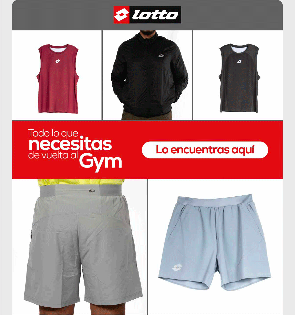 Todo lo que necesitas de vuelta al Gym. Lo encuentras aquí.