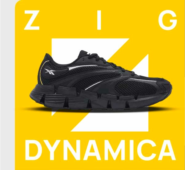 ZIG DYNAMICA