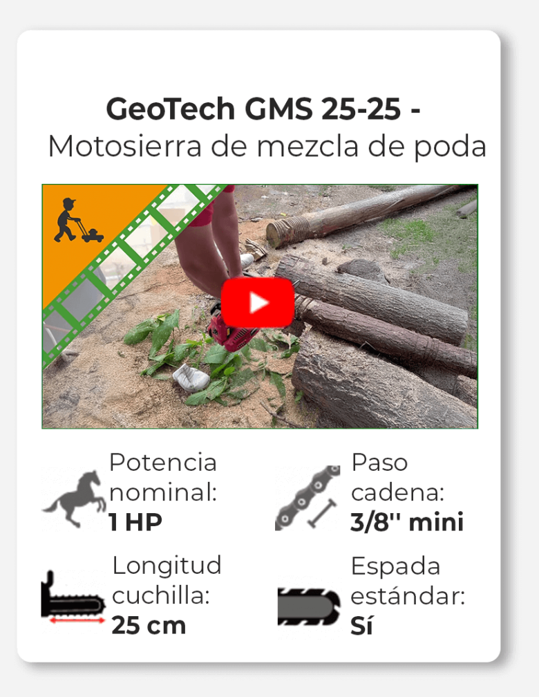 GeoTech GMS 25-25 - Motosierra de mezcla de poda - Espada da 25 cm