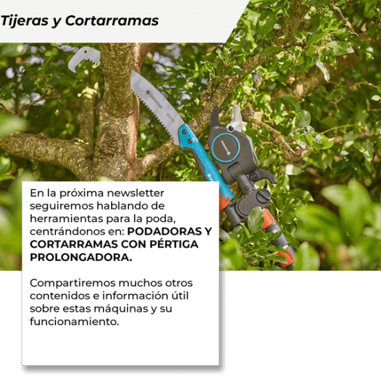 Tijeras y Cortarramas 