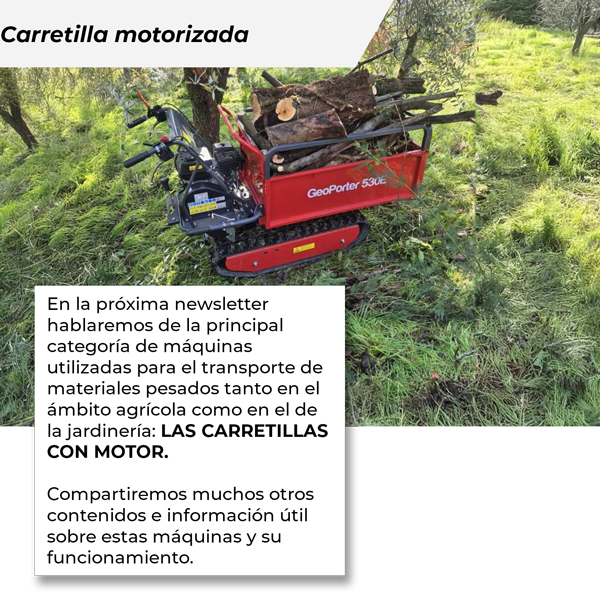 Carretillas con motor