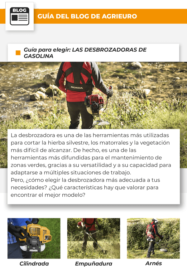 Guía para elegir: LAS DESBROZADORAS DE GASOLINA