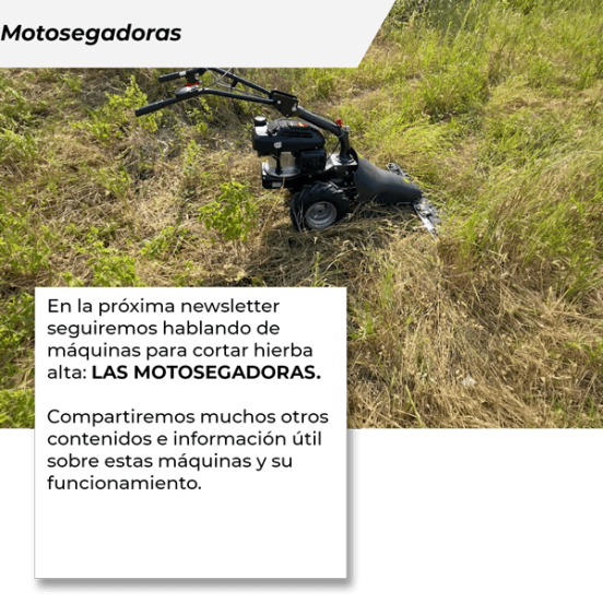PRÓXIMA NEWSLETTER PREMIUM: Motosegadoras