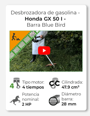 Honda GX 50 I - Desbrozadora de gasolina 4 tiempos - Barra Blue Bird