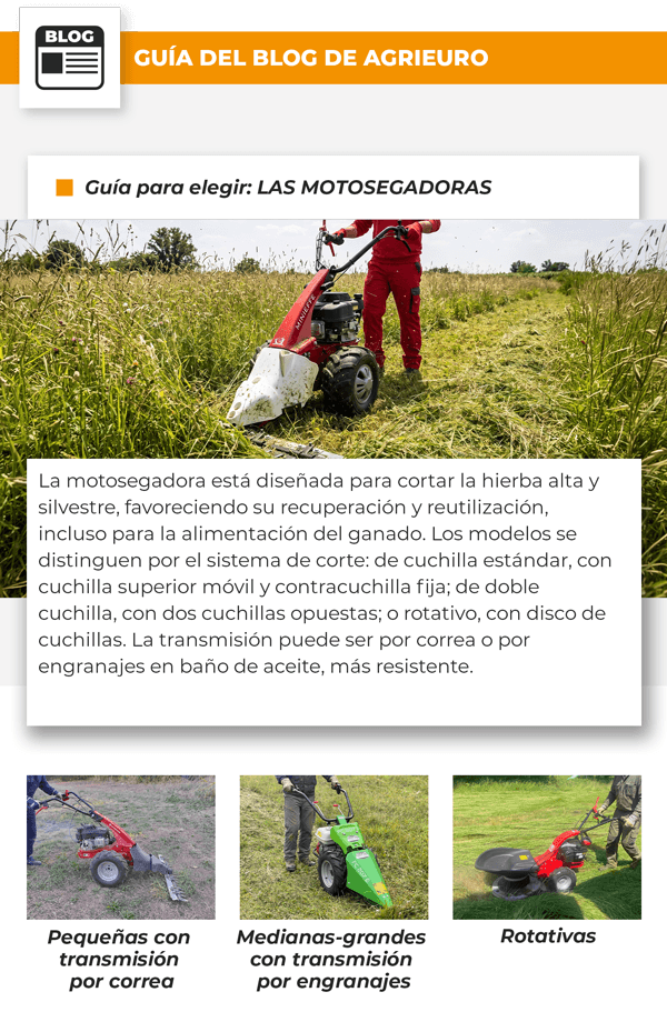 Guía para elegir: LAS MOTOSEGADORAS