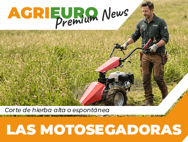 LAS MOTOSEGADORAS
