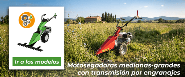 Motosegadoras medianas - grandes con transmisión por engranajes | Ir al catálogo