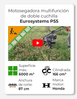 Eurosystems P55 - Motosegadora multifunción de doble cuchilla - Honda GCVX 170