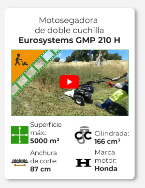 Eurosystems GMP 210 H - Motosegadora de doble cuchilla - Honda GCVx