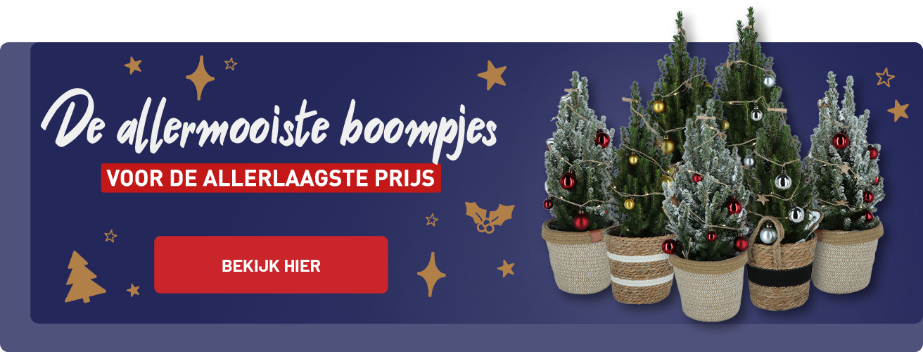Kerstbomen