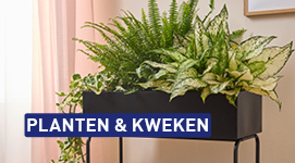 Planten en kweken
