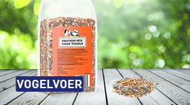 Vogelvoer