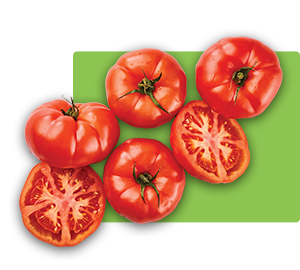 Tomate Salada