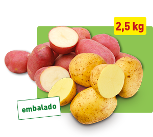 Batata Branca/ Roxa