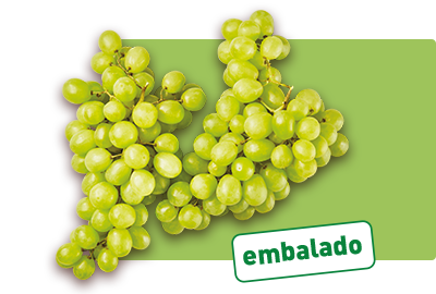 Uva Branca sem Grainha