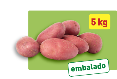 Couve-coração Nacional