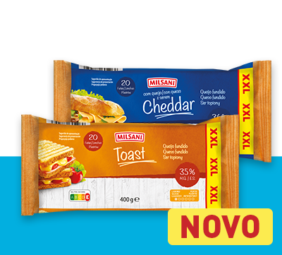 Queijo Fundido em Fatias 