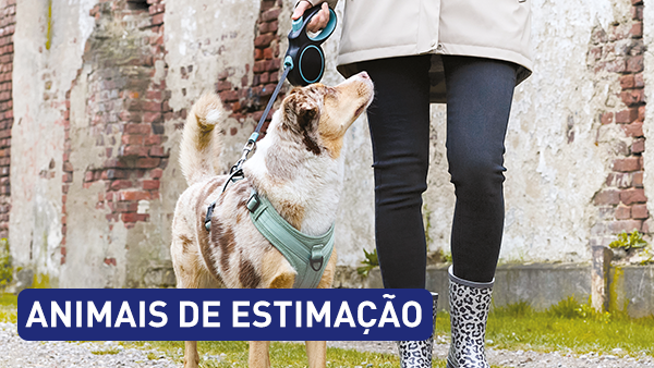 Animais de Estimação