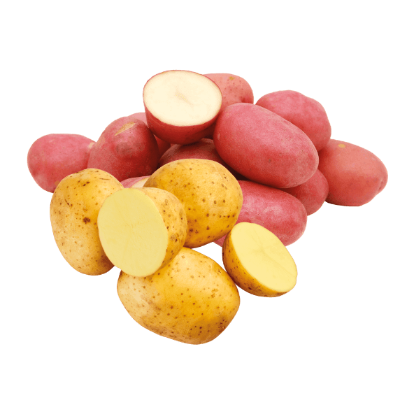 Batata