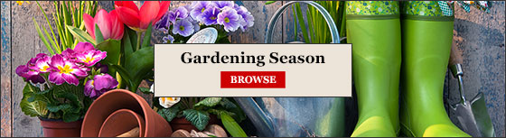 Gardening Books