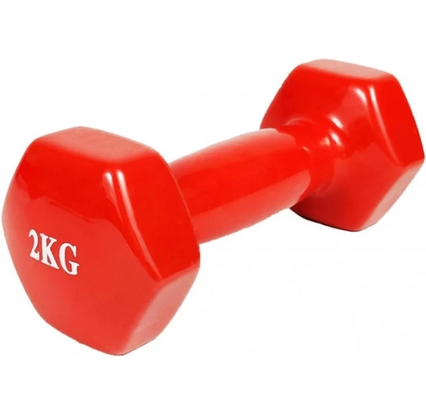 Гантель для фітнесу EasyFit із вініловим покриттям 2 кг 1 шт