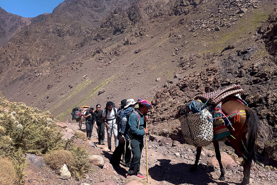 Read: Ashton Youth Leaders Climb Toubkal, Morocco