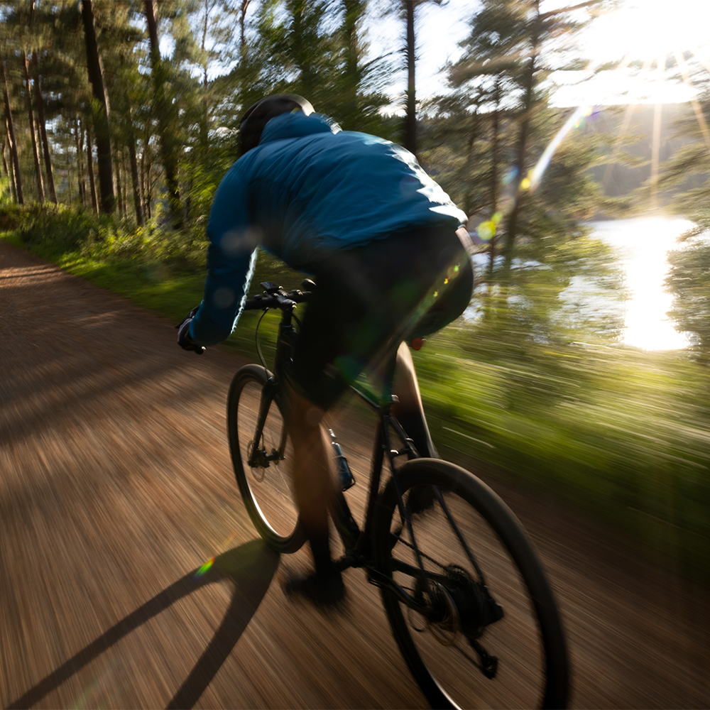 Explore New El Camino