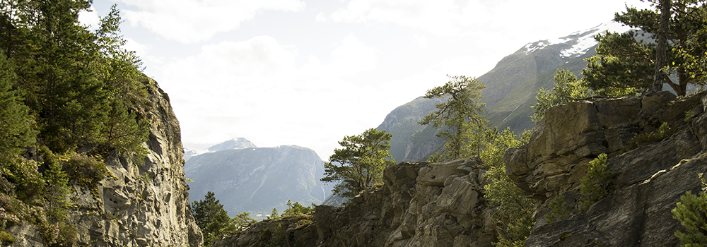 Explore cycle to work schemes