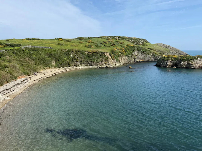 Read: Wild Silence on Anglesey