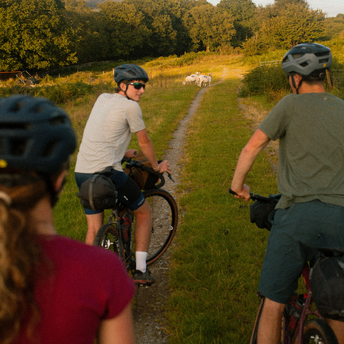 Shop Camino gravel bike