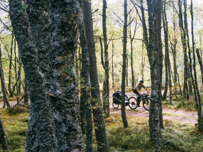 Read: Off Road Family Bikepacking