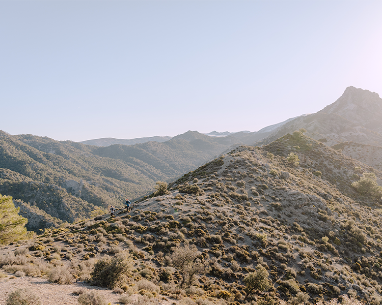 Read: how to run further