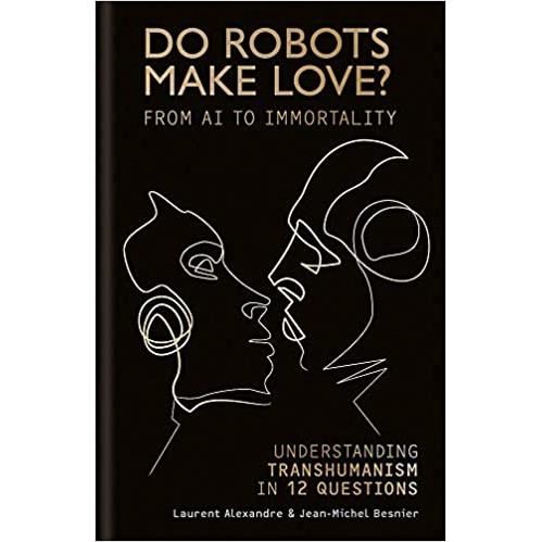 Vincent: A Graphic Biograp