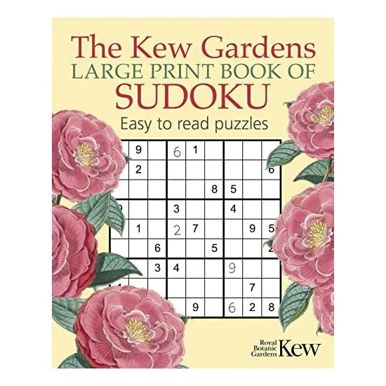 Large Print Sudoku