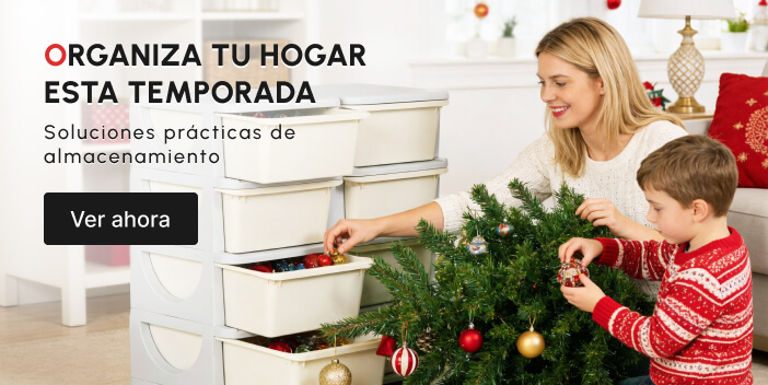 ORGANIZA TU HOGAR ESTA TEMPORADA