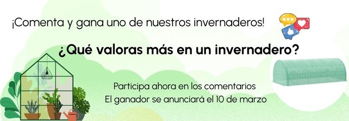 SORTEO INVERNADERO