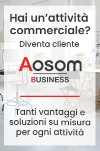 Aosom Business