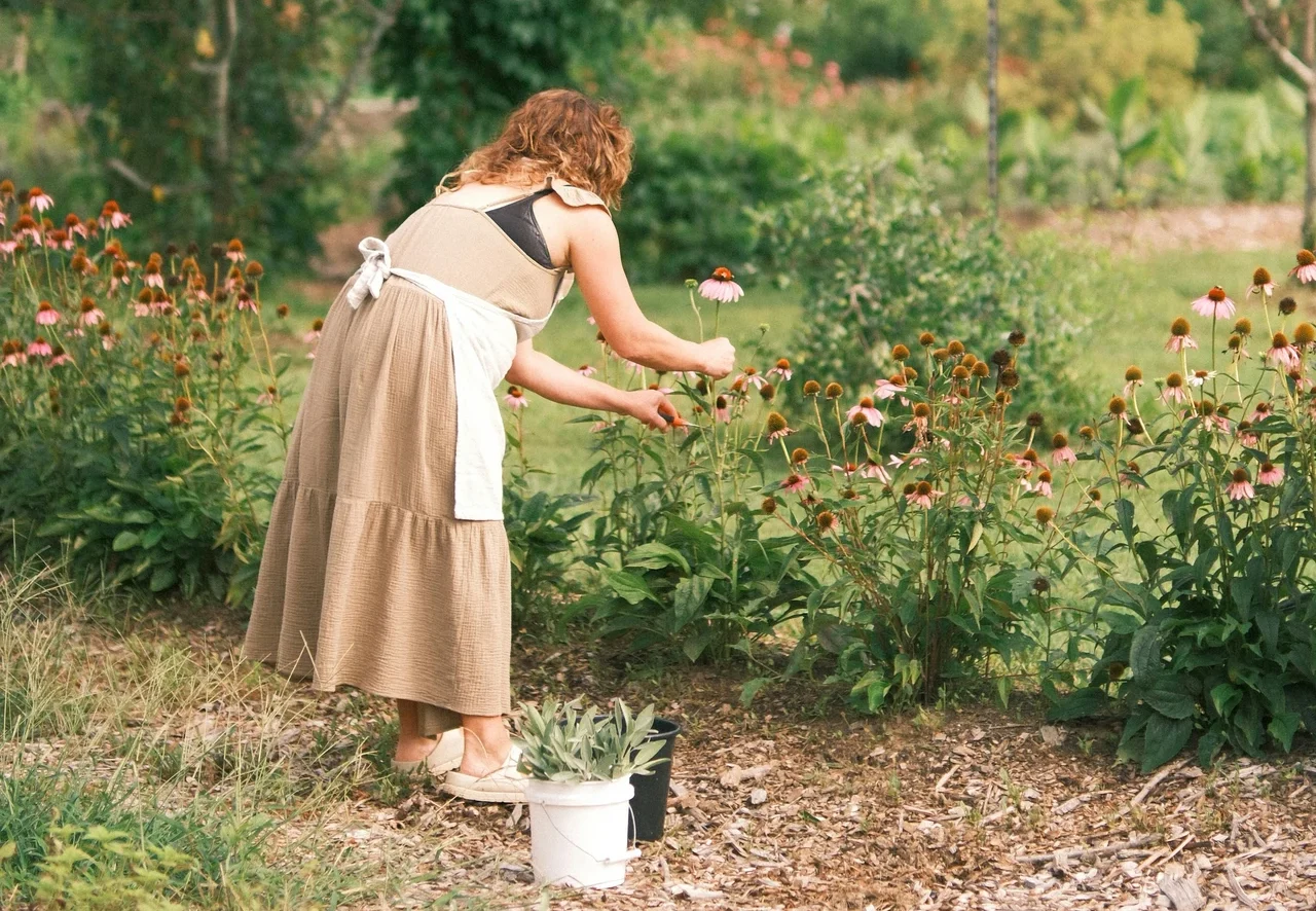 Zakázané invazivní rostliny: až 100 tisíc pokuta pokud je neřešíte, z fotek možná poznáte svou zahradu