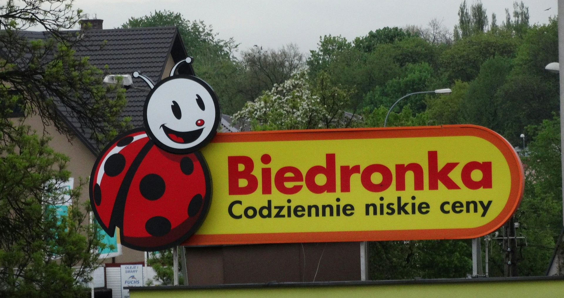 Biedronka v Česku: Polský řetězec nabízí až 3× nižší ceny než u nás, u sousedů už přitom dávno je