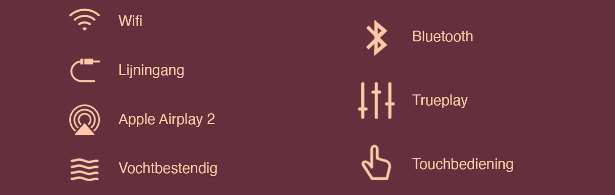 Sonos Era 100 SL Features