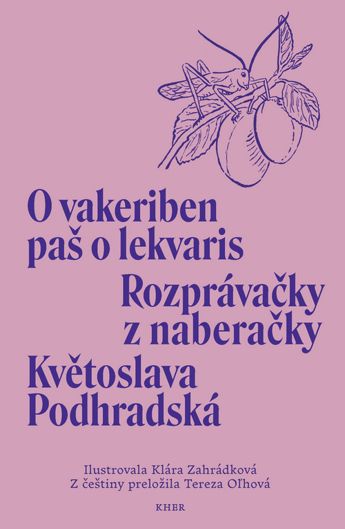 Rozprávačky z naberačky / O vakeriben paš o lekvaris