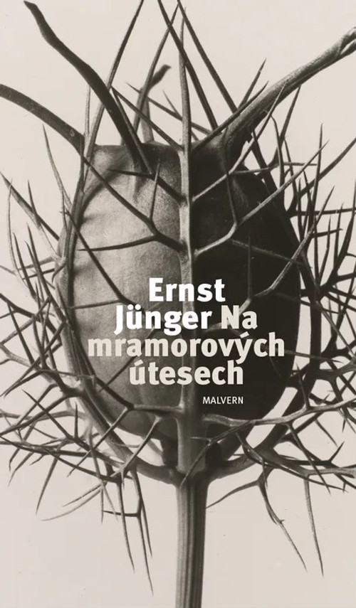 Na mramorových útesech