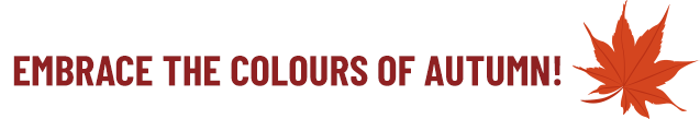 Embrace the colours of autumn!