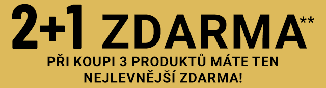 2+1 zdarma