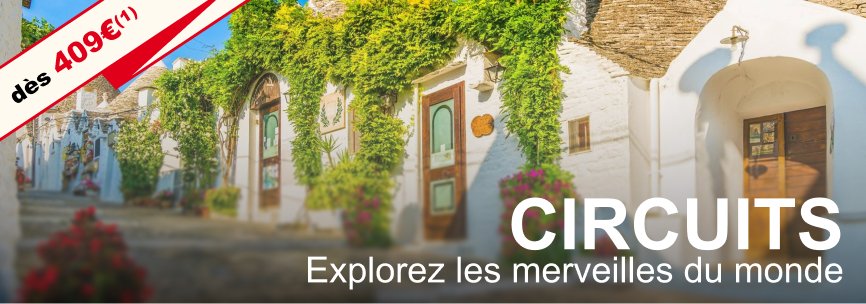 Auchan voyages : les circuits